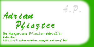 adrian pfiszter business card